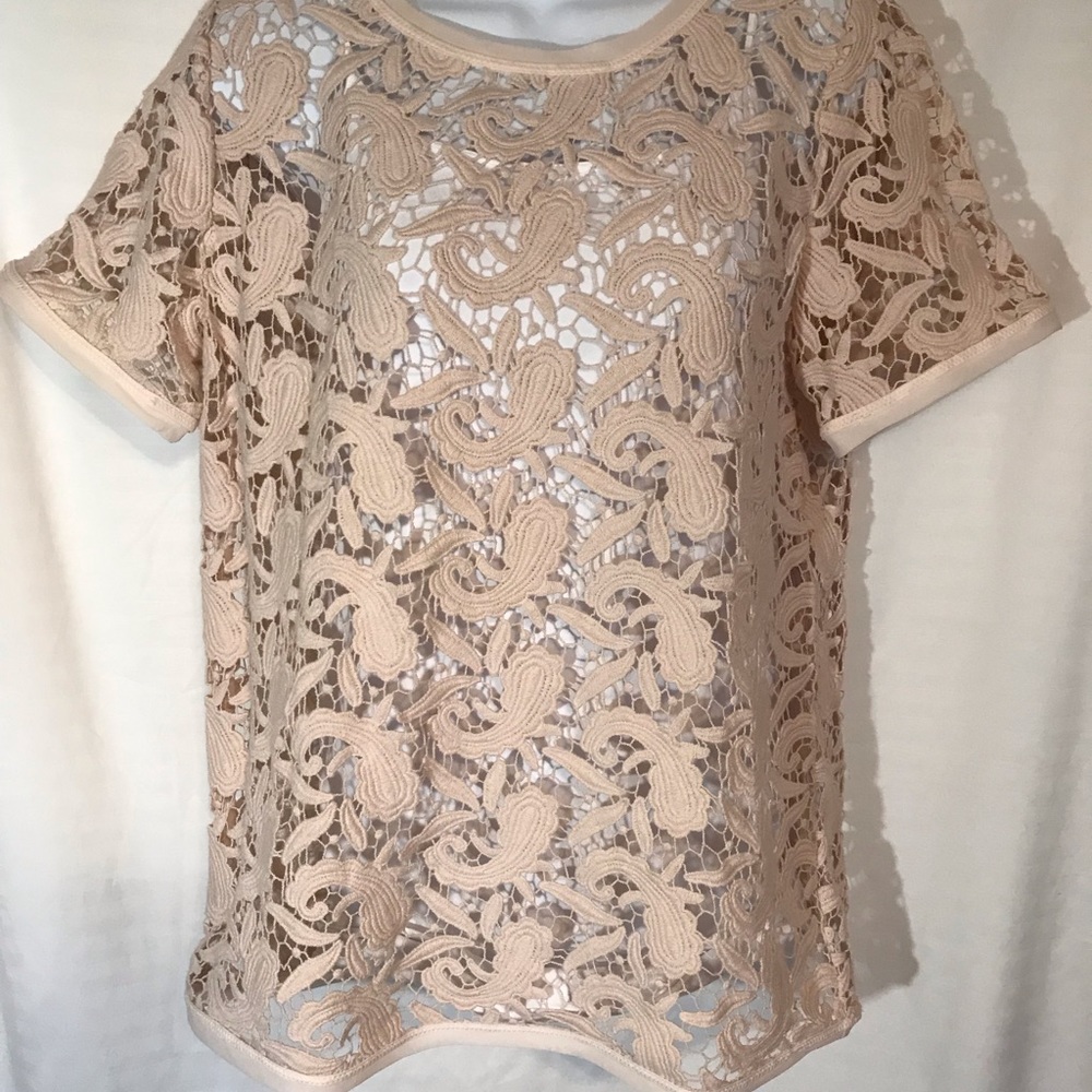 LOFT Pale Mauve Pink Lace Short Sleeve Top MEDIUM